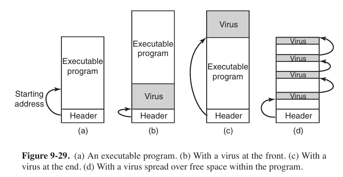 where do virus hide